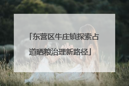 东营区牛庄镇探索占道晒粮治理新路径