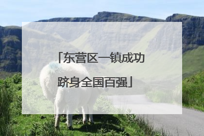 东营区一镇成功跻身全国百强