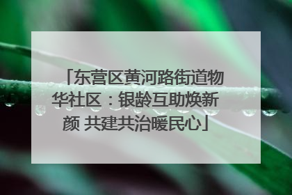 东营区黄河路街道物华社区：银龄互助焕新颜 共建共治暖民心