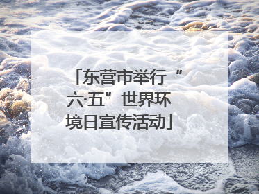 东营市举行“六·五”世界环境日宣传活动