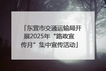 东营市交通运输局开展2025年“路政宣传月”集中宣传活动