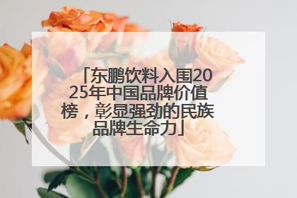 东鹏饮料入围2025年中国品牌价值榜，彰显强劲的民族品牌生命力