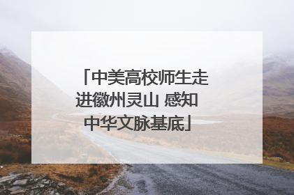 中美高校师生走进徽州灵山 感知中华文脉基底