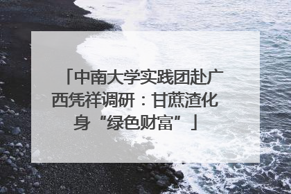 中南大学实践团赴广西凭祥调研：甘蔗渣化身“绿色财富”