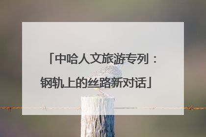 中哈人文旅游专列：钢轨上的丝路新对话