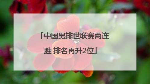 中国男排世联赛两连胜 排名再升2位