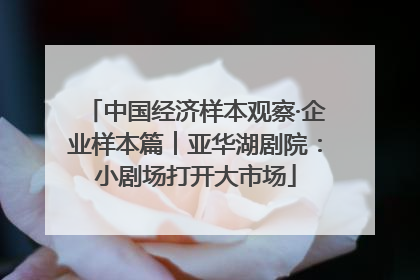 中国经济样本观察·企业样本篇︱亚华湖剧院：小剧场打开大市场