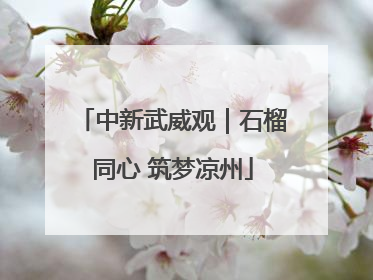中新武威观｜石榴同心 筑梦凉州