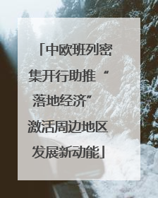 中欧班列密集开行助推“落地经济” 激活周边地区发展新动能