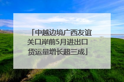 中越边境广西友谊关口岸前5月进出口货运量增长超三成