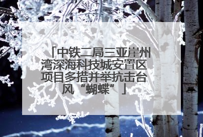 中铁二局三亚崖州湾深海科技城安置区项目多措并举抗击台风“蝴蝶”