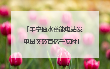 丰宁抽水蓄能电站发电量突破百亿千瓦时