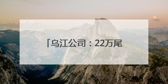 乌江公司：22万尾鱼苗在乌江“安家”