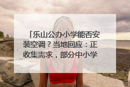 乐山公办小学能否安装空调？当地回应：正收集需求，部分中小学已启动安装｜云求助