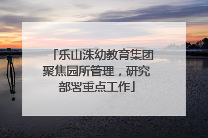 乐山洙幼教育集团聚焦园所管理，研究部署重点工作