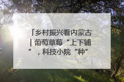 乡村振兴看内蒙古｜葡萄草莓“上下铺”，科技小院“种”出三倍效益