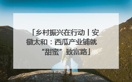 乡村振兴在行动丨安徽太和：西瓜产业铺就“甜蜜”致富路