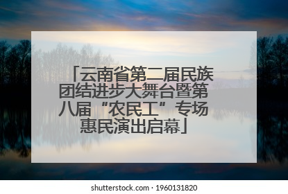 云南省第二届民族团结进步大舞台暨第八届“农民工”专场惠民演出启幕