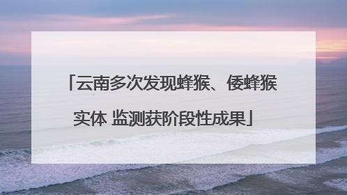 云南多次发现蜂猴、倭蜂猴实体 监测获阶段性成果