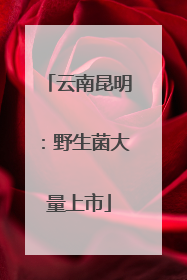 云南昆明：野生菌大量上市