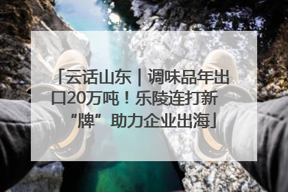 云话山东｜调味品年出口20万吨！乐陵连打新“牌”助力企业出海