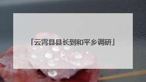 云霄县县长到和平乡调研