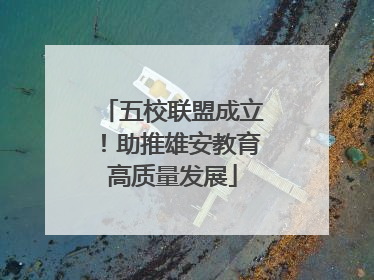 五校联盟成立！助推雄安教育高质量发展