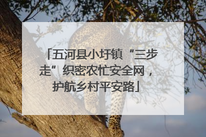 五河县小圩镇“三步走”织密农忙安全网，护航乡村平安路