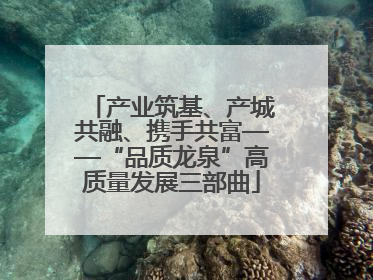 产业筑基、产城共融、携手共富——“品质龙泉”高质量发展三部曲