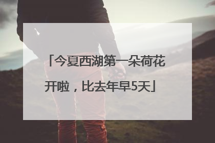 今夏西湖第一朵荷花开啦，比去年早5天