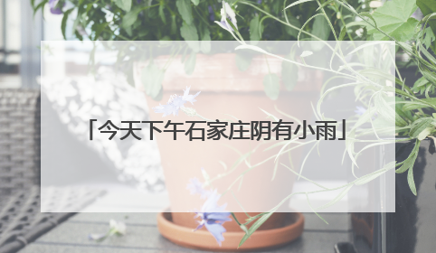 今天下午石家庄阴有小雨