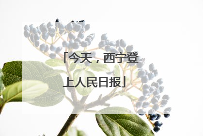 今天，西宁登上人民日报