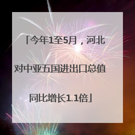 今年1至5月，河北对中亚五国进出口总值同比增长1.1倍