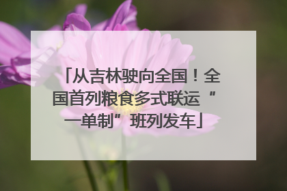 从吉林驶向全国！全国首列粮食多式联运“一单制”班列发车