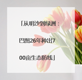 从明沙到绿洲：巴图26年种出700亩生态防线