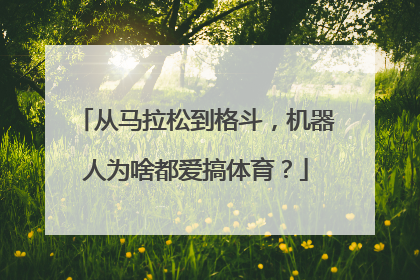 从马拉松到格斗，机器人为啥都爱搞体育？