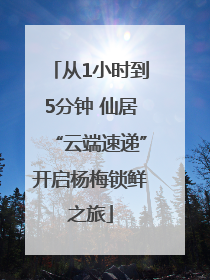 从1小时到5分钟 仙居“云端速递”开启杨梅锁鲜之旅