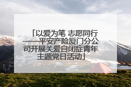 以爱为笔 志愿同行——平安产险厦门分公司开展关爱自闭症青年主题党日活动