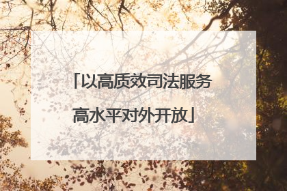以高质效司法服务高水平对外开放
