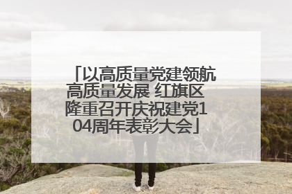 以高质量党建领航高质量发展 红旗区隆重召开庆祝建党104周年表彰大会
