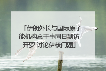 伊朗外长与国际原子能机构总干事同日到访开罗 讨论伊核问题