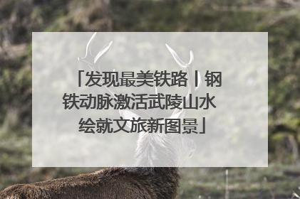 发现最美铁路丨钢铁动脉激活武陵山水 绘就文旅新图景