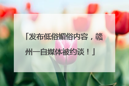 发布低俗媚俗内容，赣州一自媒体被约谈！