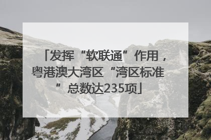 发挥“软联通”作用，粤港澳大湾区“湾区标准”总数达235项