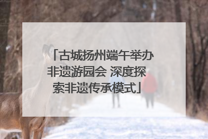 古城扬州端午举办非遗游园会 深度探索非遗传承模式