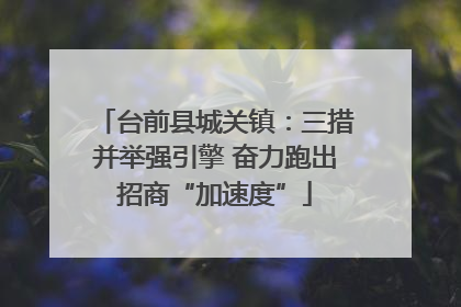 台前县城关镇：三措并举强引擎 奋力跑出招商“加速度”