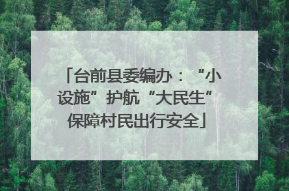 台前县委编办：“小设施”护航“大民生” 保障村民出行安全