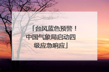 台风蓝色预警！中国气象局启动四级应急响应