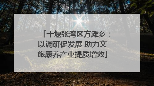 十堰张湾区方滩乡：以调研促发展 助力文旅康养产业提质增效