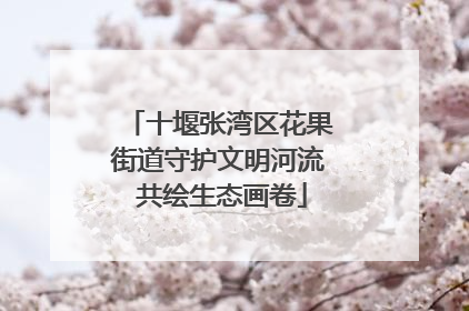 十堰张湾区花果街道守护文明河流 共绘生态画卷